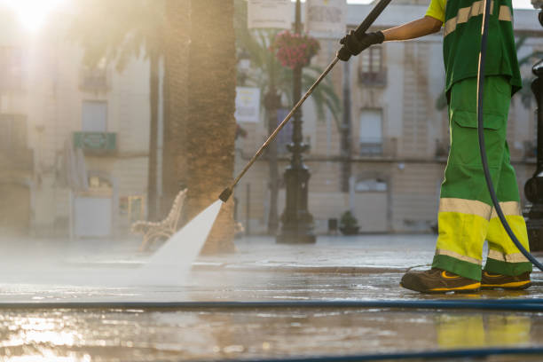 Local Pressure Washing Services in Lanai City, HI
